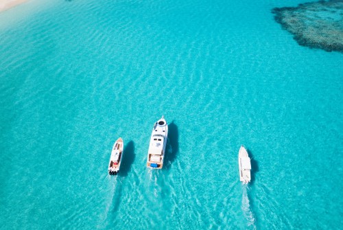 boats in the water