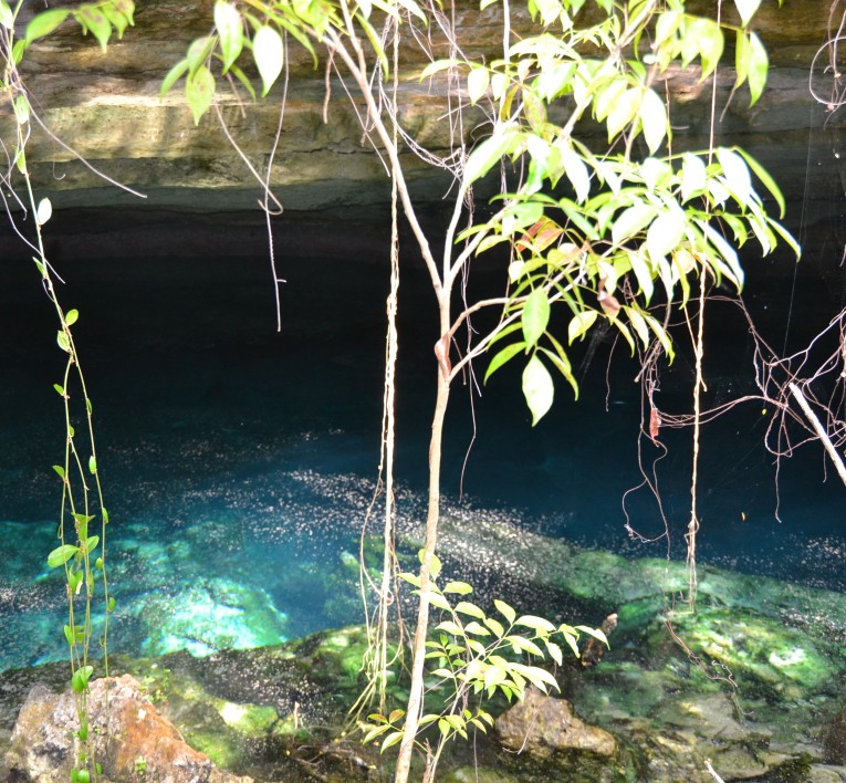 Lucayan National Park