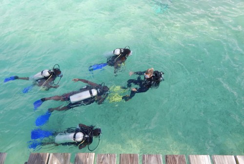 a group of people in scuba gear swimming in clear water