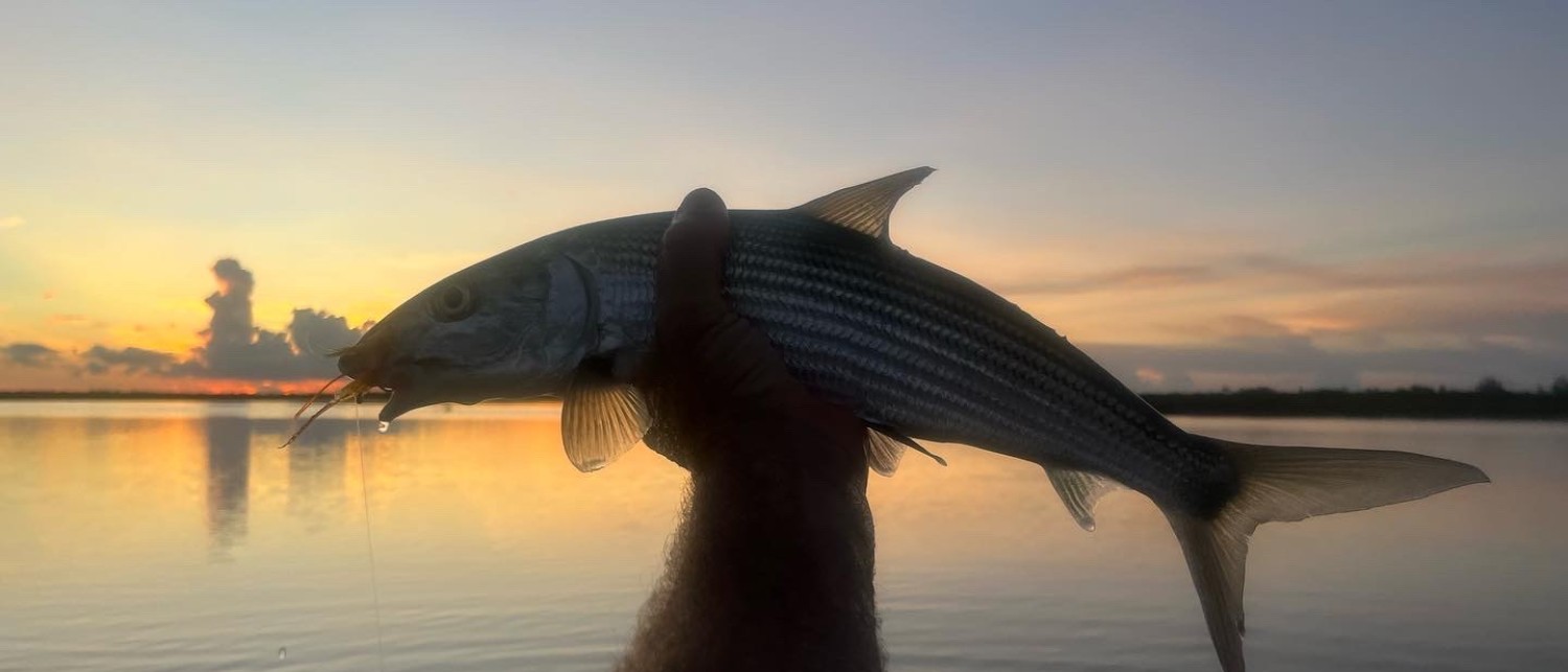 Chester's Bonefish Lodge by The Beach & Restaurant