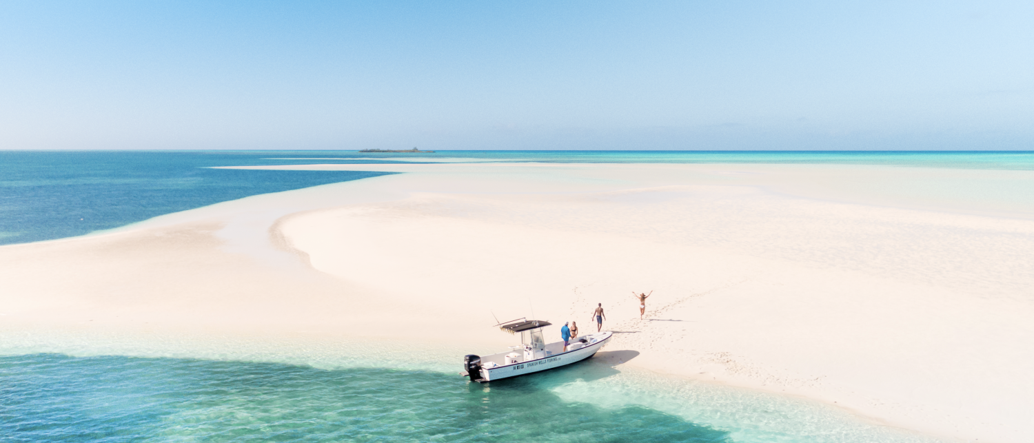 a boat on a beach