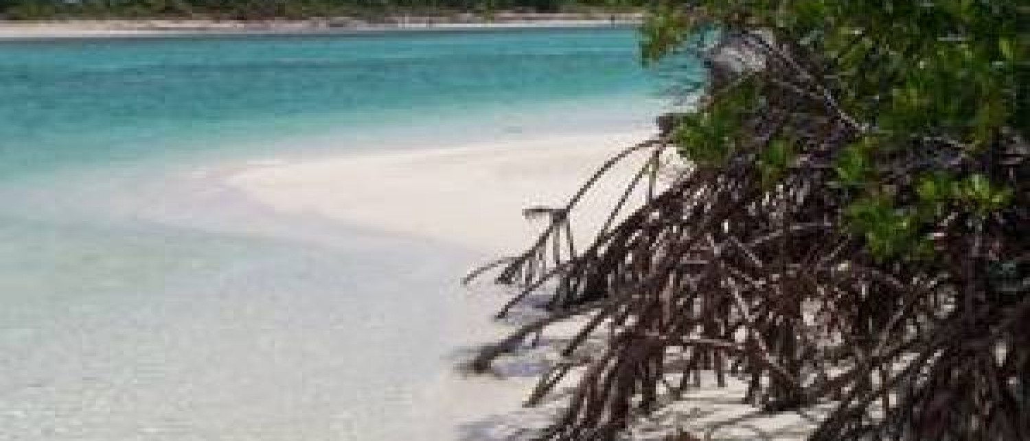 Pigeon Creek & Snow Bay National Park