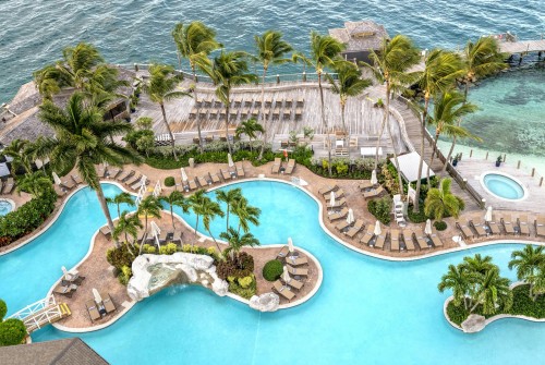a swimming pool with palm trees and a wooden deck