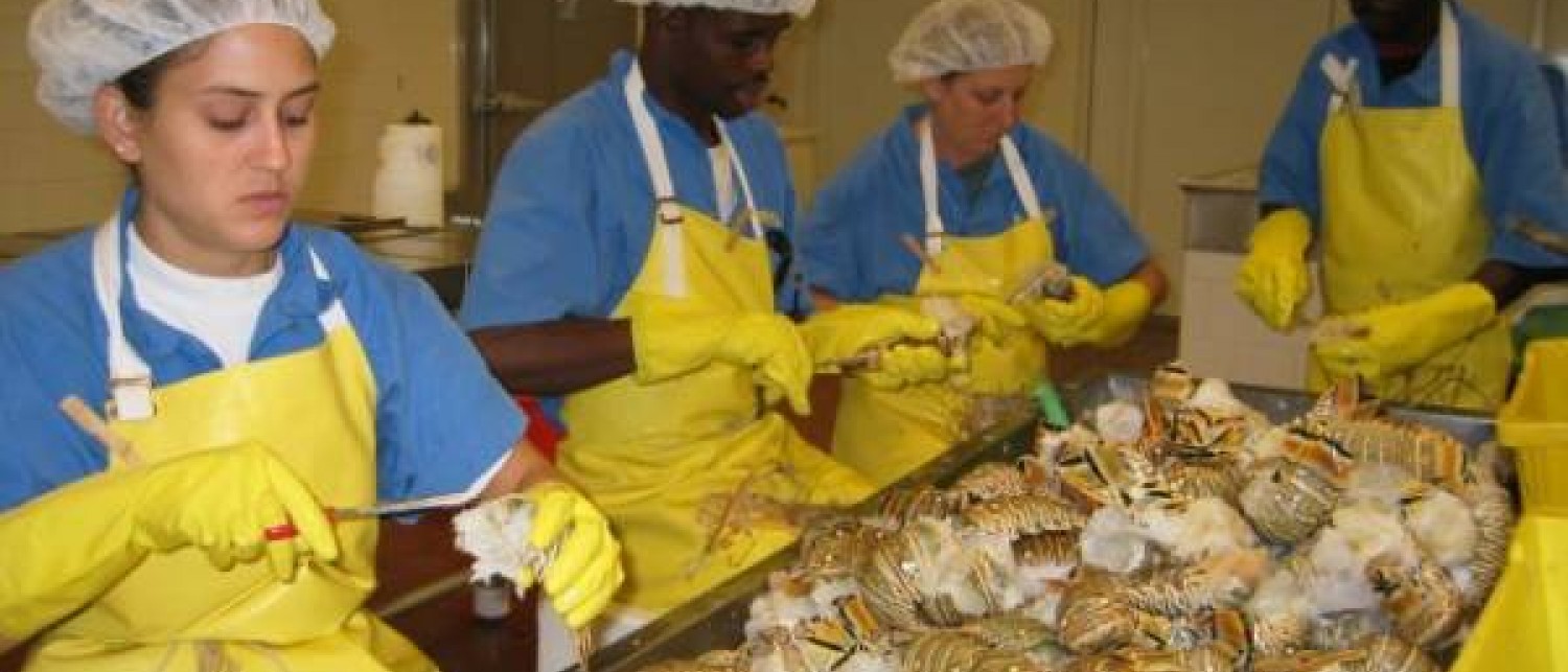 Ronald's Seafood