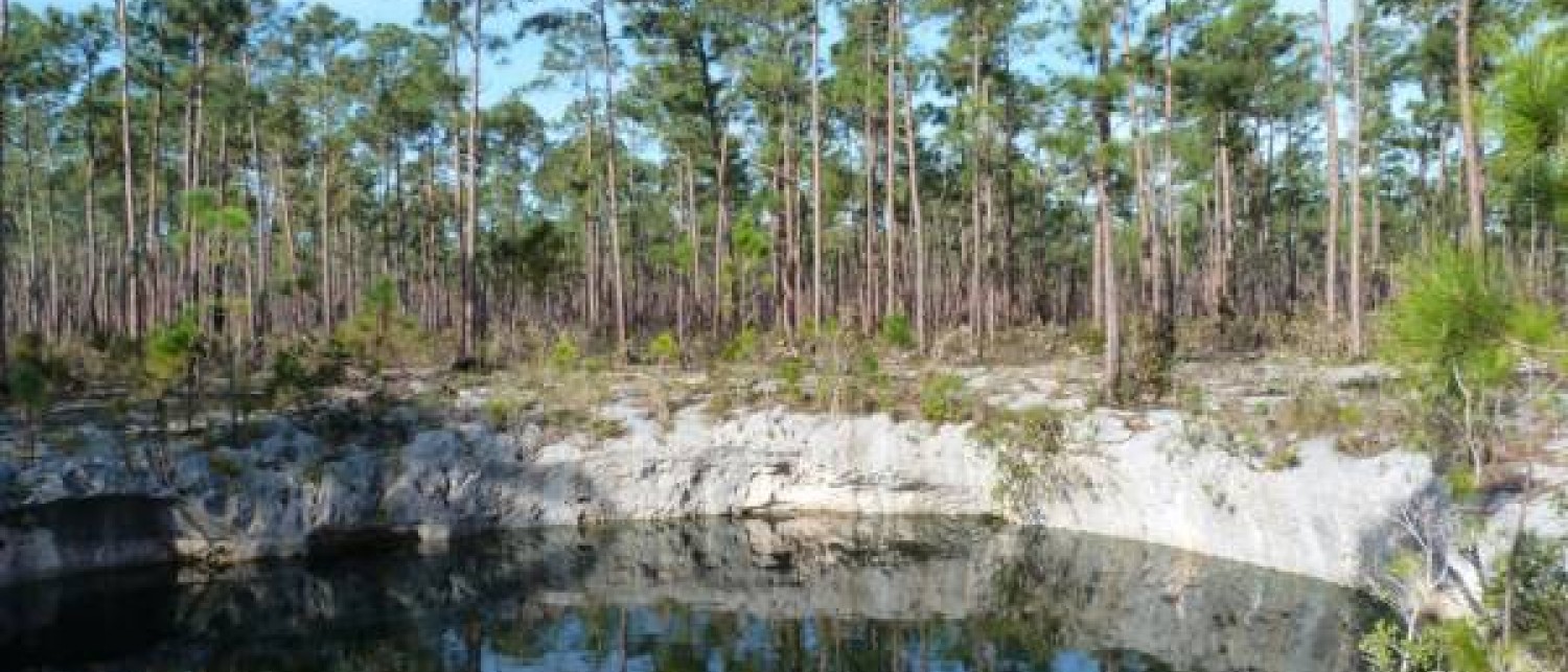 Sawmill Sink Blue Hole