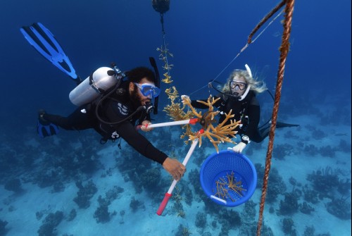 a man and woman scuba divers in scuba gear holding a net