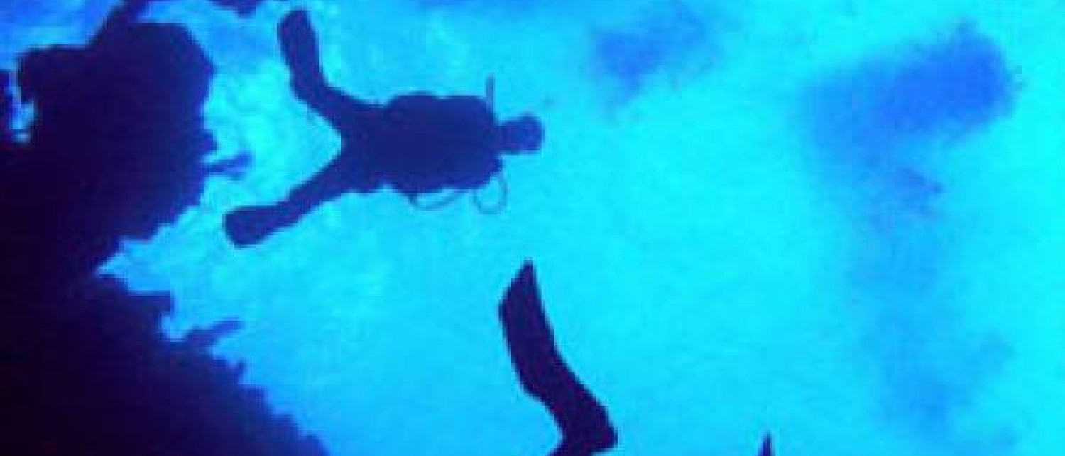 Riding Rock Resort: Diving