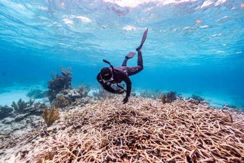 a person in a scuba suit swimming underwater