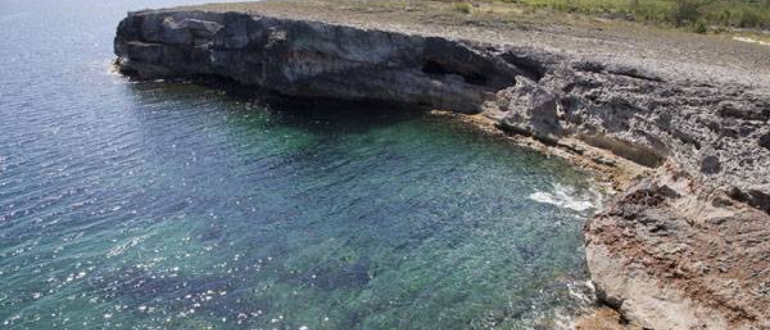 The Cliffs