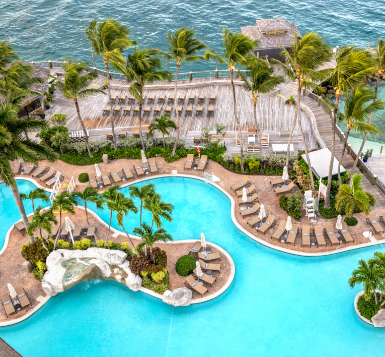 a swimming pool with palm trees and a dock