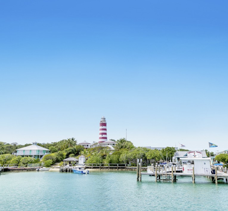 a body of water with a lighthouse and trees