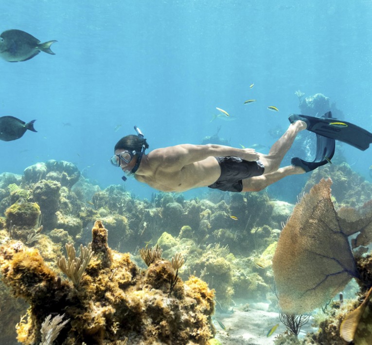 a man swimming under water with fins and fish
