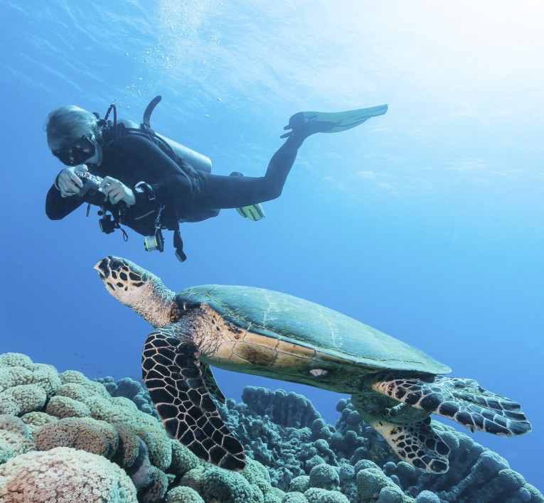 a person swimming with a turtle