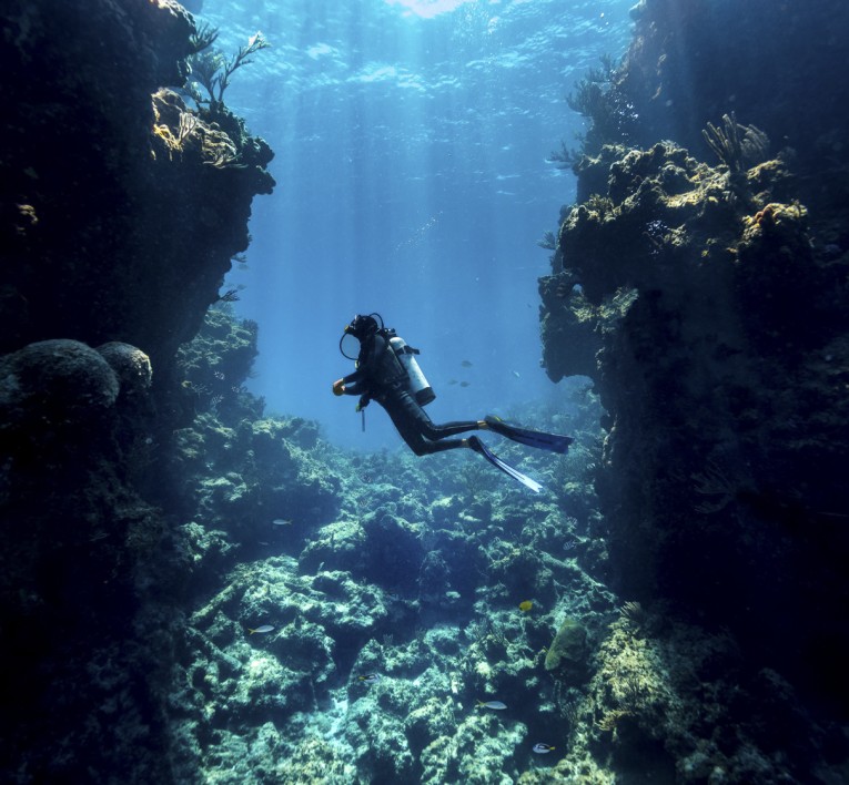 a scuba diver under water