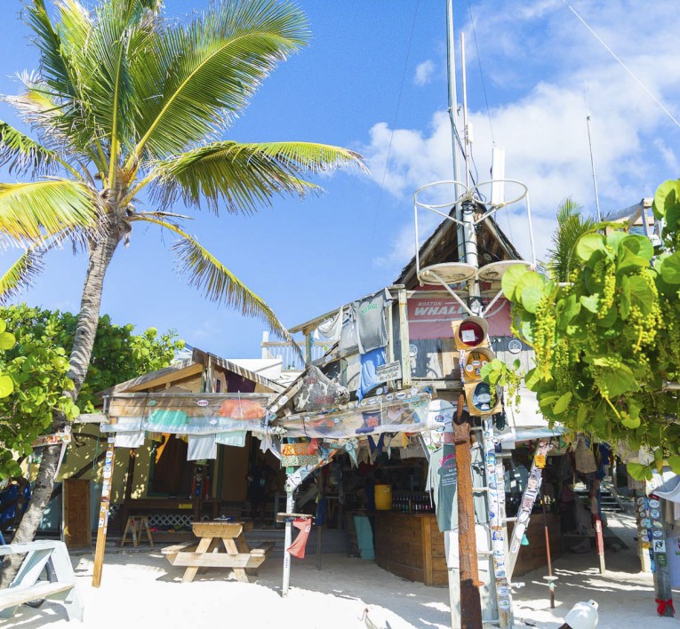 a building with palm trees and a beach