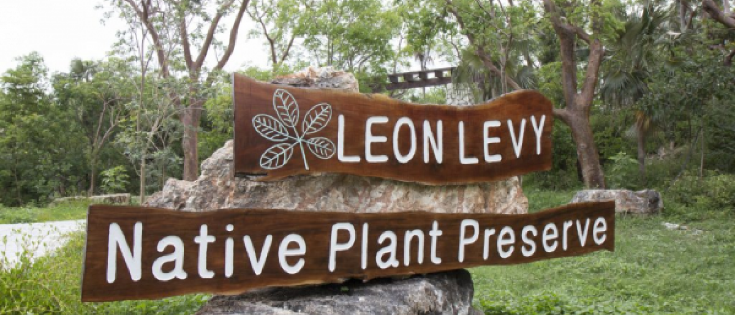 Leon Levy Native Plant Preserve