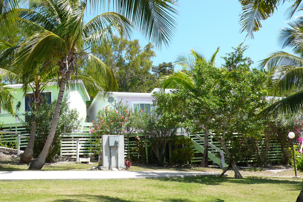 a house with palm trees and a walkway
