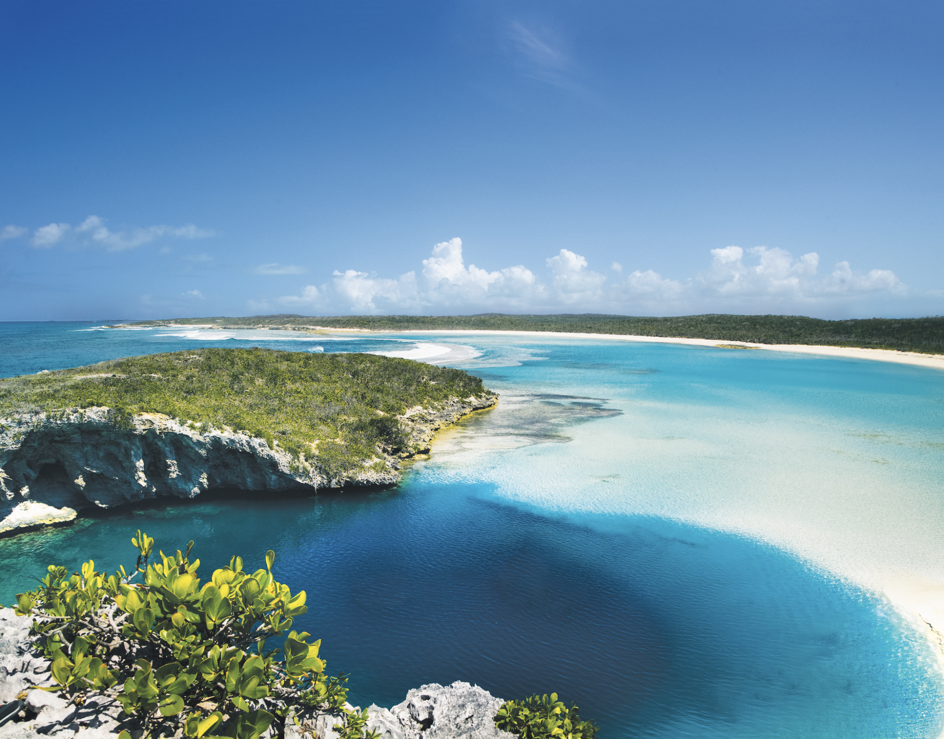 a blue water and land with trees