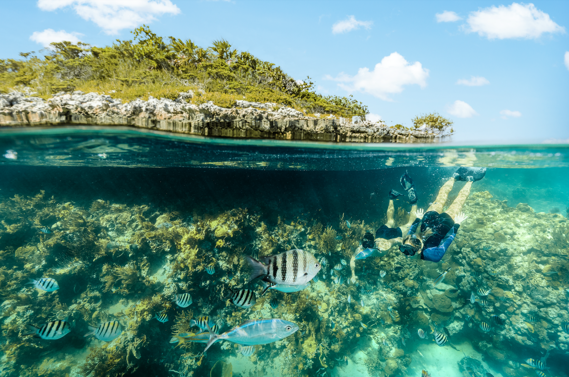 a person swimming in the water with fish and plants