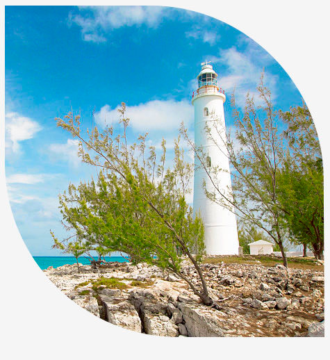 two petals, one with a lighthouse and one with a woman on a surfboard