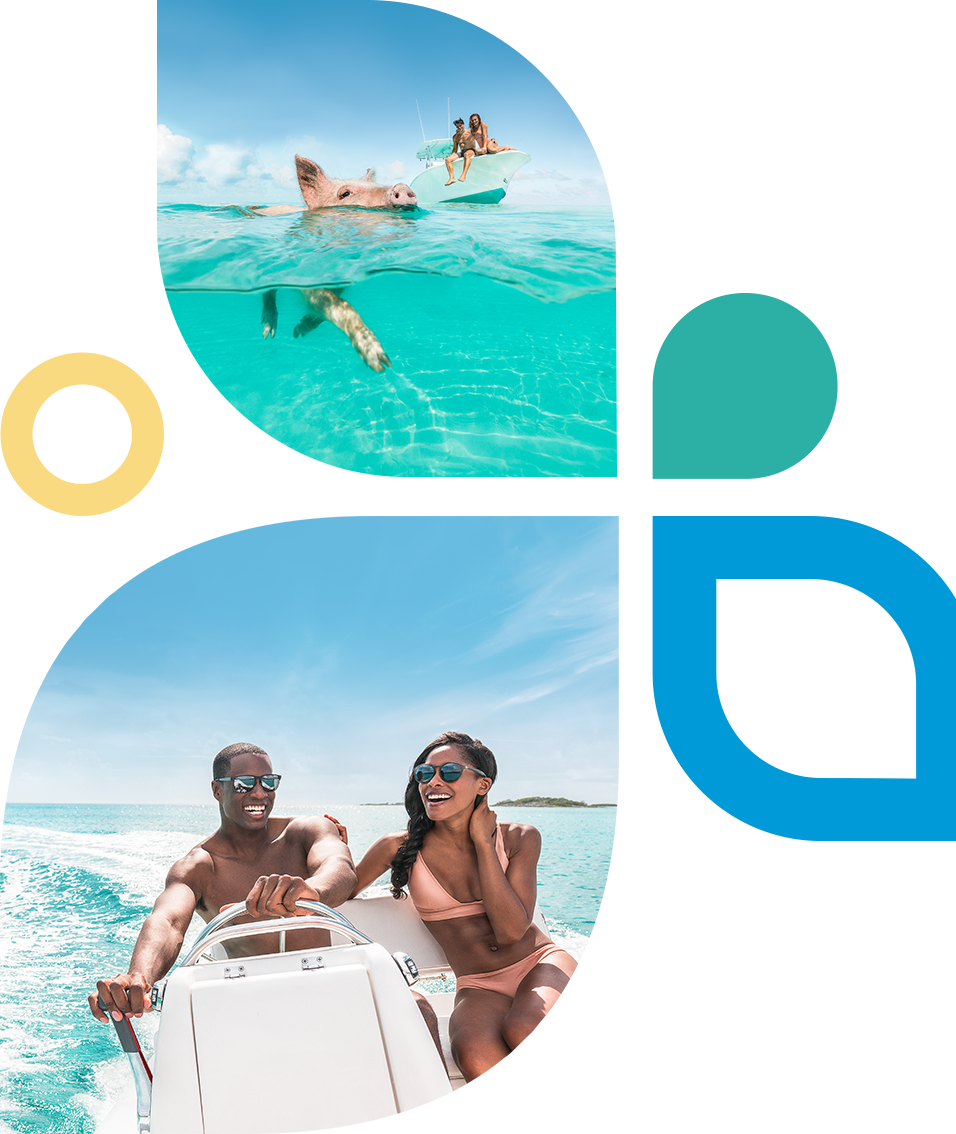 windsong desktop swimmingpigs petal